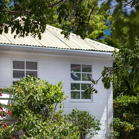 Gyp Sea Saint Barth-3
