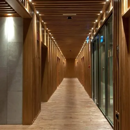 Hotel Araba-3