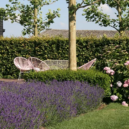 Boutique Hotel Villa Oldenhoff-3