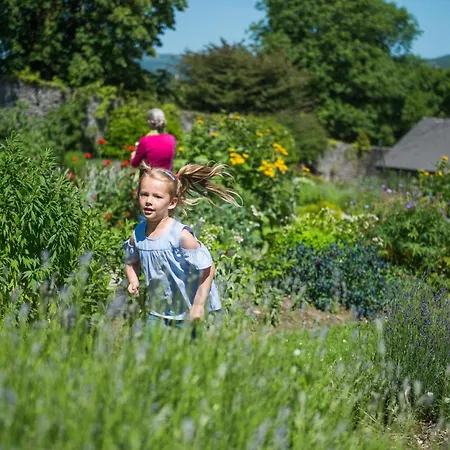 Treacys Oakwood Hotel, Shannon-3