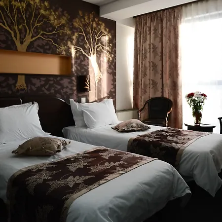 Hotel Razvan-3