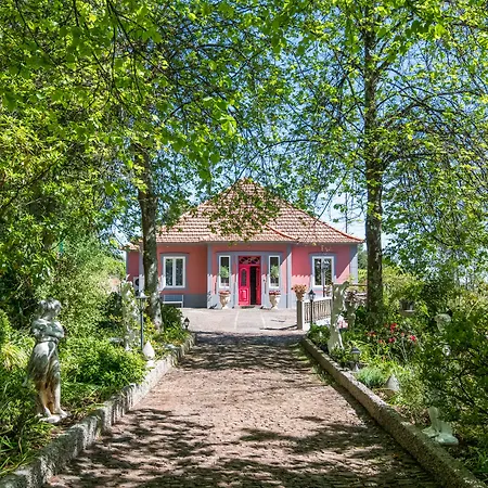 Villa Camelia Boutique House-2
