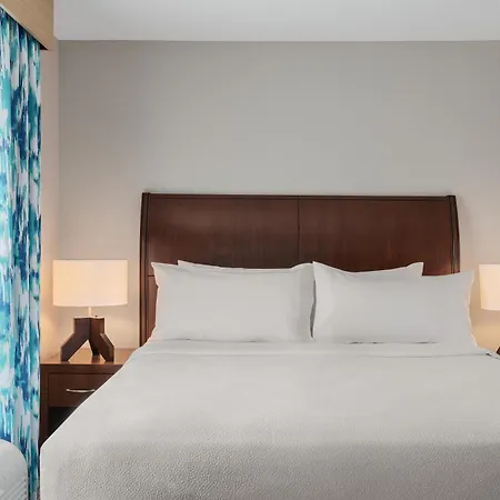 Hilton Garden Inn Tampa North-2
