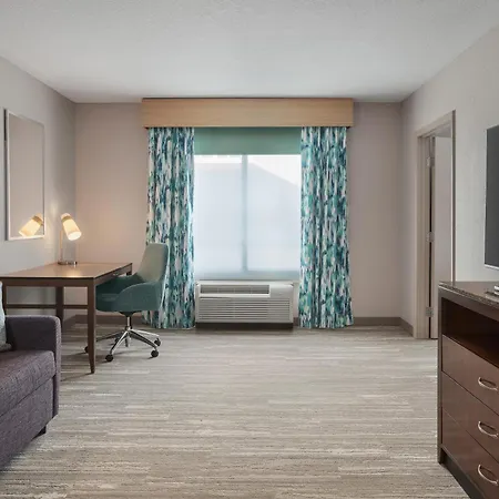 Hilton Garden Inn Tampa North-3