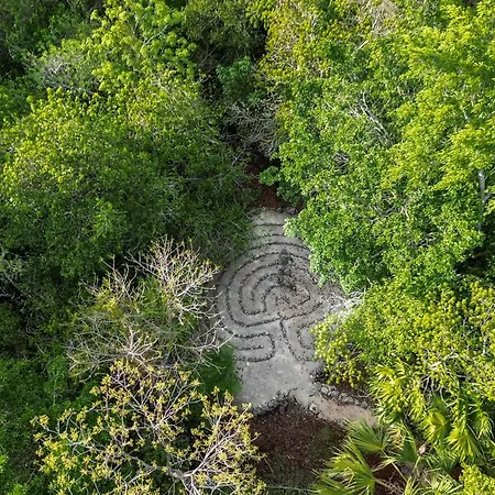 Jolie Jungle Eco Hotel (Adults Only)-3