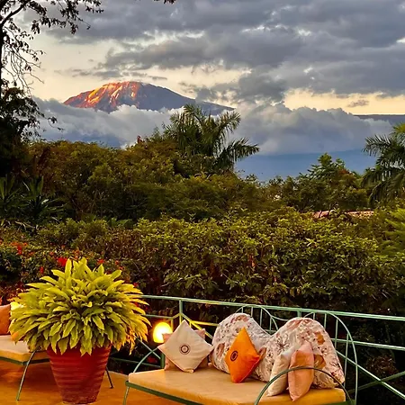 Pink Flamingo Boutique Hotel-3