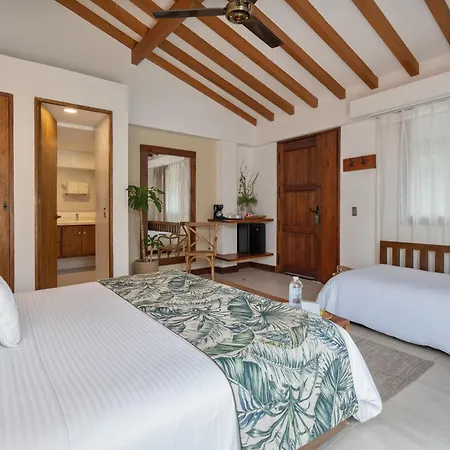 Casa Bixa Hotel Boutique by HMC - Mayores de 12 años --3