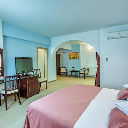 Hotel Ambient-3