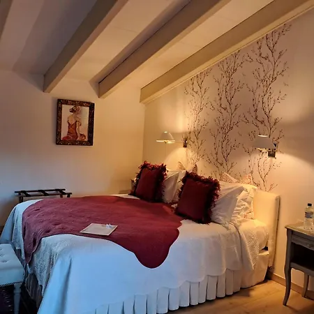 Hotel Le Mas Trilles-3