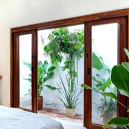 Amari Sayulita Boutique Hotel-2