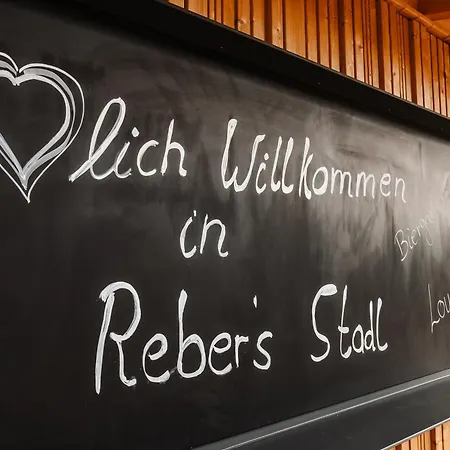 Rebers Pflug-2