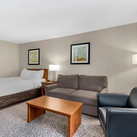 Clarion Hotel & Suites Brandon-3