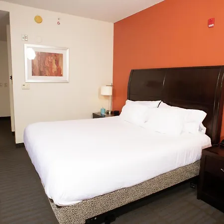 Hilton Garden Inn Springfield, Il-3