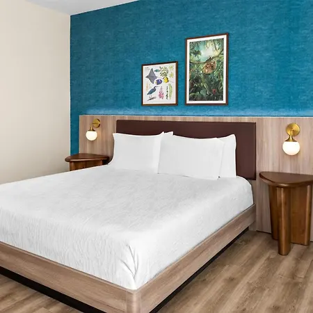 Hilton Garden Inn Guanacaste Airport-3