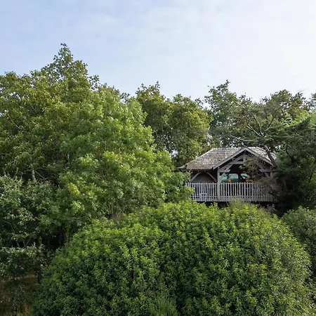 La Gree Des Landes - Eco-Hotel-Spa Yves Rocher-3