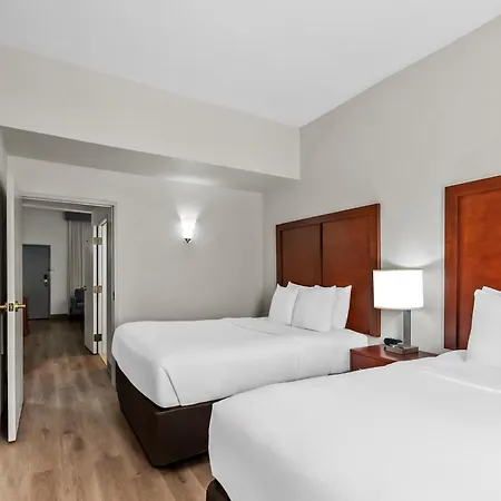 Comfort Suites Near Potomac Mills-2