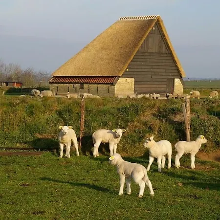 Hotel Havenzicht Texel-3