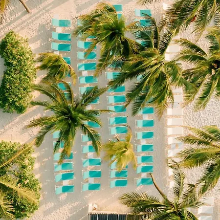 Catalonia Royal Tulum Beach & Spa Resort Adults Only-3