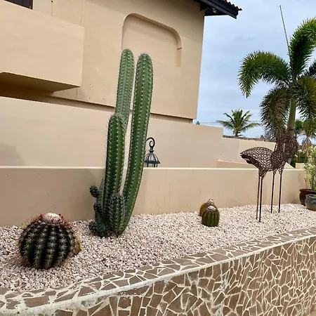 Casa Amalia - Jan Thiel Beach (Adults Only)-2