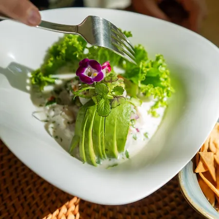Azul Hotel & Retreat (Adults Only)-2
