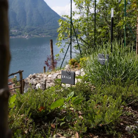 Villa Clementina Boutique Hotel-2