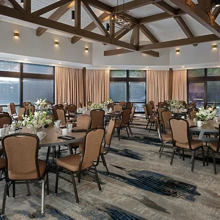 Marriott Raleigh Durham Research Triangle Park-3