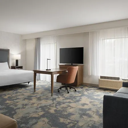 Hampton Inn & Suites Braselton-3