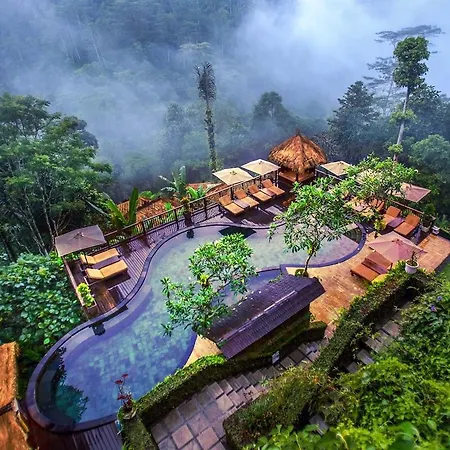 Nandini Jungle by Hanging Gardens-3