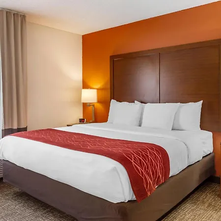 Comfort Inn Greensboro - Kernersville-3