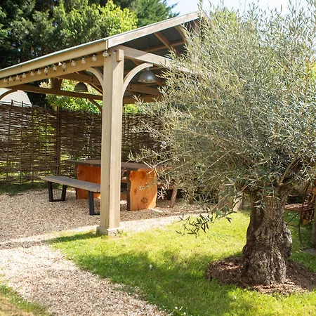 Daisybank Cottage Boutique Bed And Breakfast-3