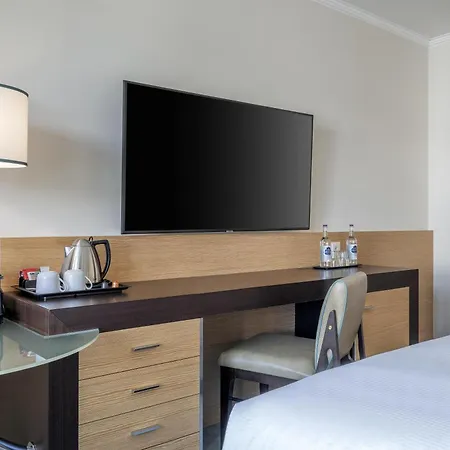 Hilton Geneva Hotel And Conference Centre-2