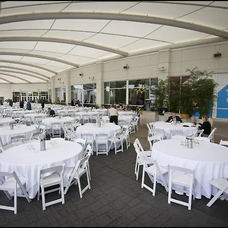 Hilton Orlando-2