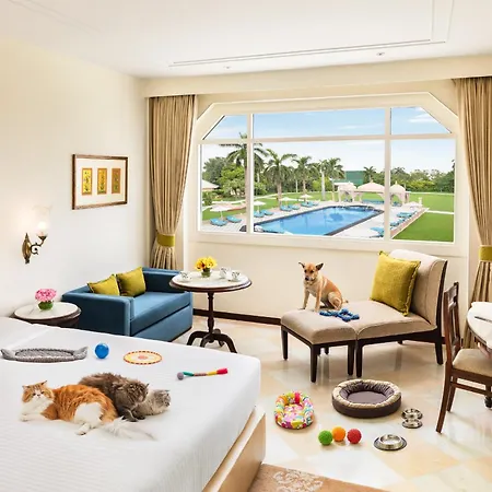 Tajview, Agra-Ihcl Seleqtions-2