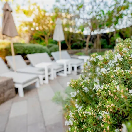 Bohemia Suites & Spa - Adults Only-3