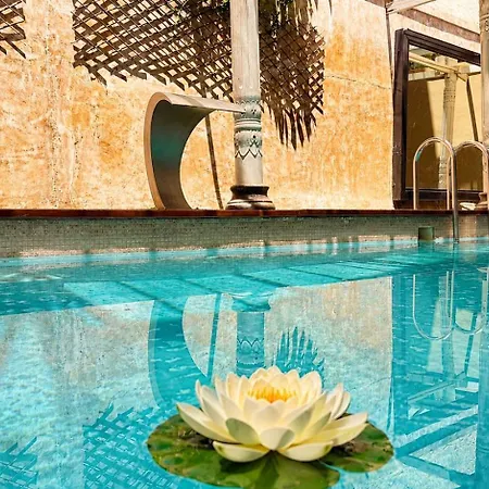 Great Greece Le Convivial Suites-3