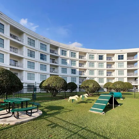 Melia Orlando Celebration-2