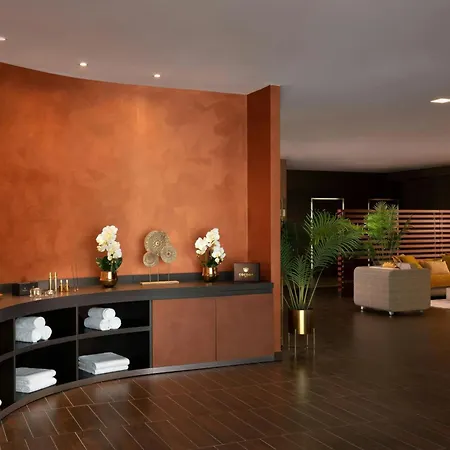 Sheraton Milan Malpensa Airport Hotel & Conference Centre-2
