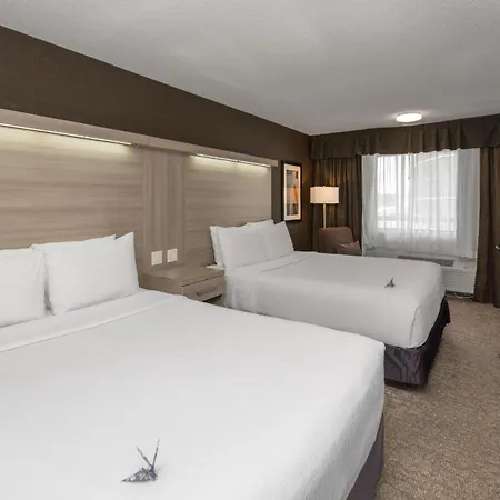 Coast Calgary University Area Hotel By Apa-2