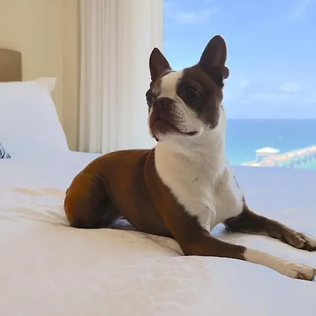 Wyndham Deerfield Beach Resort-2