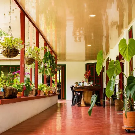 Villa Cristina - Casa Boutique-2
