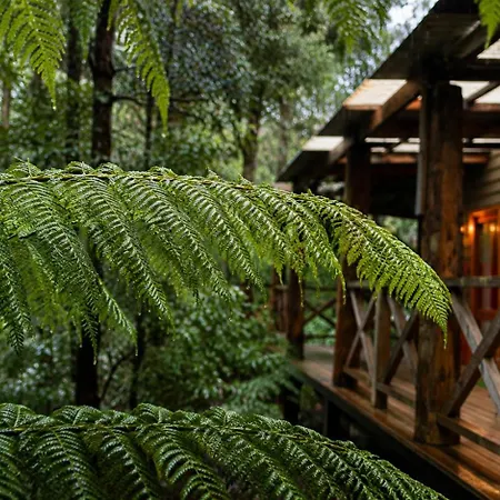 Cradle Forest Inn-3