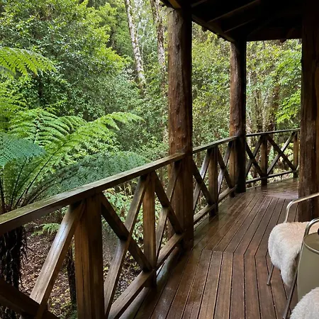 Cradle Forest Inn-2