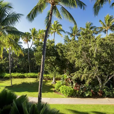 Fairmont Orchid-2