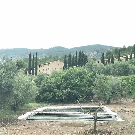 Terra Dominicata - Hotel & Winery - Adults Only-3