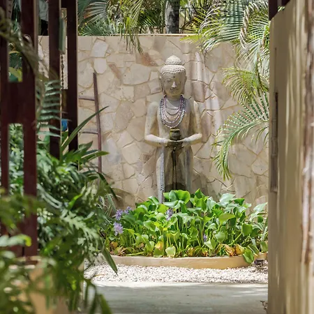 Bamboo Bonaire By Boutique Bonaire Unique Resorts-3