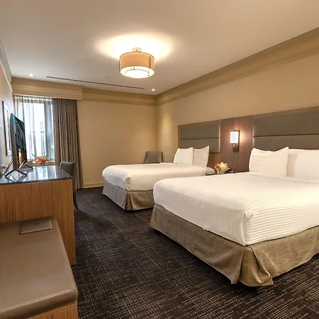 Opera House Hotel-3
