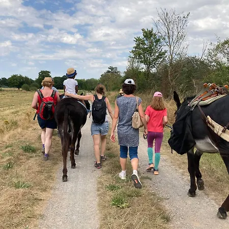 Le Village de Cottages - Le Pôle du Cheval et de l'Âne-2