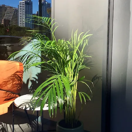 MD Modern Hotel - Jardines-2