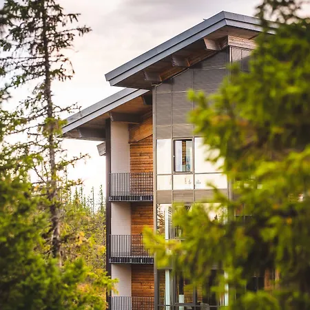 Copperhill Mountain Lodge-3