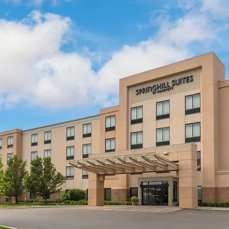 Springhill Suites Detroit Auburn Hills-3